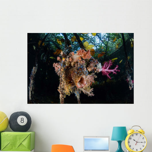 Colorful Soft Corals and Wall Decal