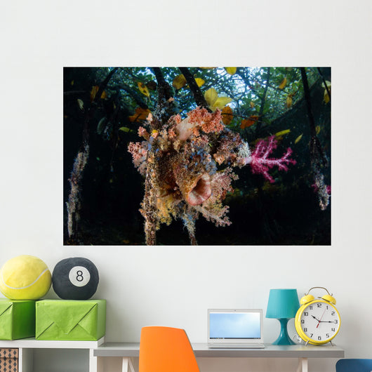 Colorful Soft Corals and Wall Decal