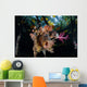 Colorful Soft Corals and Wall Decal