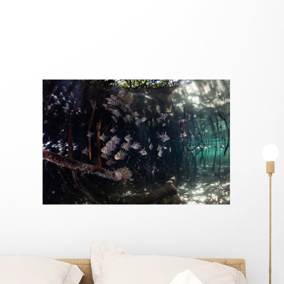 Orbiculate Cardinalfish Swimming Blue Wall Decal shown on a wall