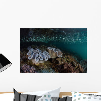 Silversides Swim above Soft Wall Decal shown on a wall