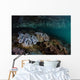 Silversides Swim above Soft Wall Decal