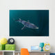 Sleek Blue Shark Swimming Wall Decal Design 10