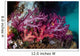 Vibrant Soft Corals Grow Wall Decal Design 2