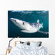 Sleek Blue Shark Swimming Wall Decal Design 9