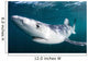 Sleek Blue Shark Swimming Wall Decal Design 9