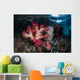Vibrant Soft Corals Grow Wall Decal Design 1
