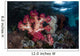 Vibrant Soft Corals Grow Wall Decal Design 1
