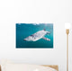Sleek Blue Shark Swimming Wall Decal Design 8