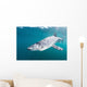 Sleek Blue Shark Swimming Wall Decal Design 8