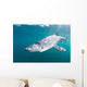 Sleek Blue Shark Swimming Wall Decal Design 8
