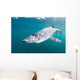Sleek Blue Shark Swimming Wall Decal Design 8