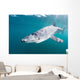 Sleek Blue Shark Swimming Wall Decal Design 8
