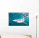 Sleek Blue Shark Swimming Wall Decal Design 7