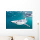 Sleek Blue Shark Swimming Wall Decal Design 7