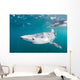 Sleek Blue Shark Swimming Wall Decal Design 7