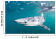 Sleek Blue Shark Swimming Wall Decal Design 7