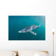 Sleek Blue Shark Swimming Wall Decal Design 6