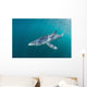 Sleek Blue Shark Swimming Wall Decal Design 6