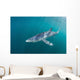 Sleek Blue Shark Swimming Wall Decal Design 6