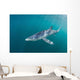 Sleek Blue Shark Swimming Wall Decal Design 6