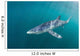 Sleek Blue Shark Swimming Wall Decal Design 6