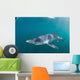 Sleek Blue Shark Swimming Wall Decal Design 5