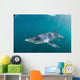 Sleek Blue Shark Swimming Wall Decal Design 5