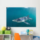 Sleek Blue Shark Swimming Wall Decal Design 5