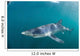 Sleek Blue Shark Swimming Wall Decal Design 5