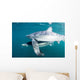 Sleek Blue Shark Swimming Wall Decal Design 4