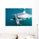 Sleek Blue Shark Swimming Wall Decal Design 4