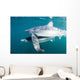 Sleek Blue Shark Swimming Wall Decal Design 4