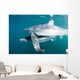 Sleek Blue Shark Swimming Wall Decal Design 4