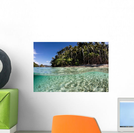 Clear Water Sweeps Remote Wall Decal