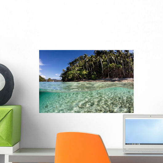 Clear Water Sweeps Remote Wall Decal