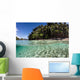 Clear Water Sweeps Remote Wall Decal