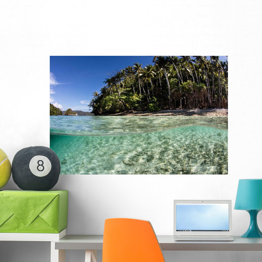Clear Water Sweeps Remote Wall Decal