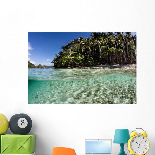 Clear Water Sweeps Remote Wall Decal