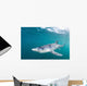 Sleek Blue Shark Swimming Wall Decal Design 3