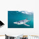 Sleek Blue Shark Swimming Wall Decal Design 3