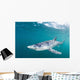 Sleek Blue Shark Swimming Wall Decal Design 3