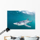 Sleek Blue Shark Swimming Wall Decal Design 3