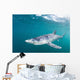 Sleek Blue Shark Swimming Wall Decal Design 3