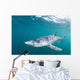 Sleek Blue Shark Swimming Wall Decal Design 3