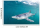 Sleek Blue Shark Swimming Wall Decal Design 3