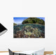 Healthy Coral Reef Grows Wall Decal Design 6