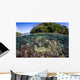Healthy Coral Reef Grows Wall Decal Design 6