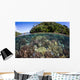 Healthy Coral Reef Grows Wall Decal Design 6