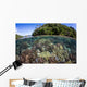 Healthy Coral Reef Grows Wall Decal Design 6